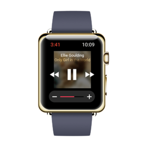 Watch Steel Case Apple